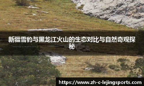 新疆雪豹与黑龙江火山的生态对比与自然奇观探秘
